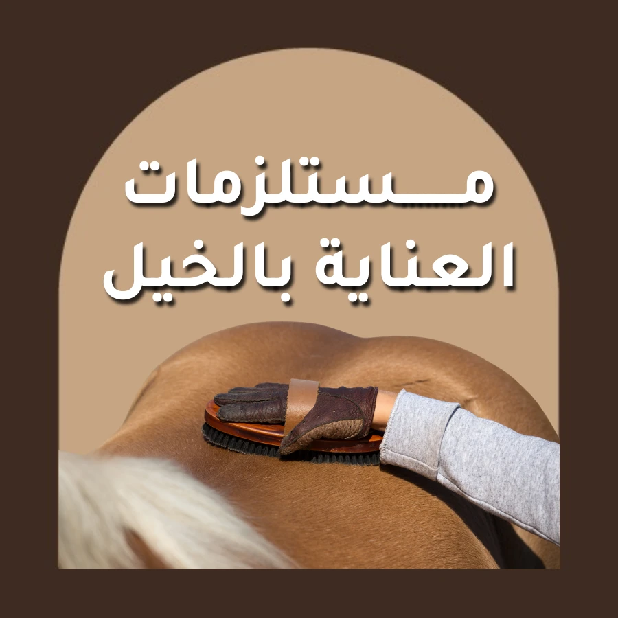 العناية بالخيل