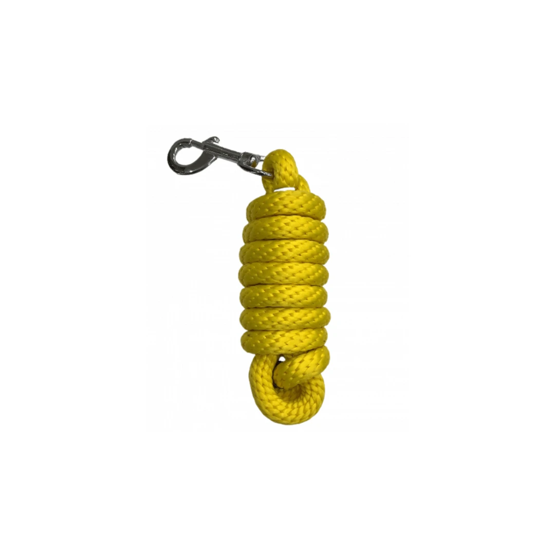 مقود خيل