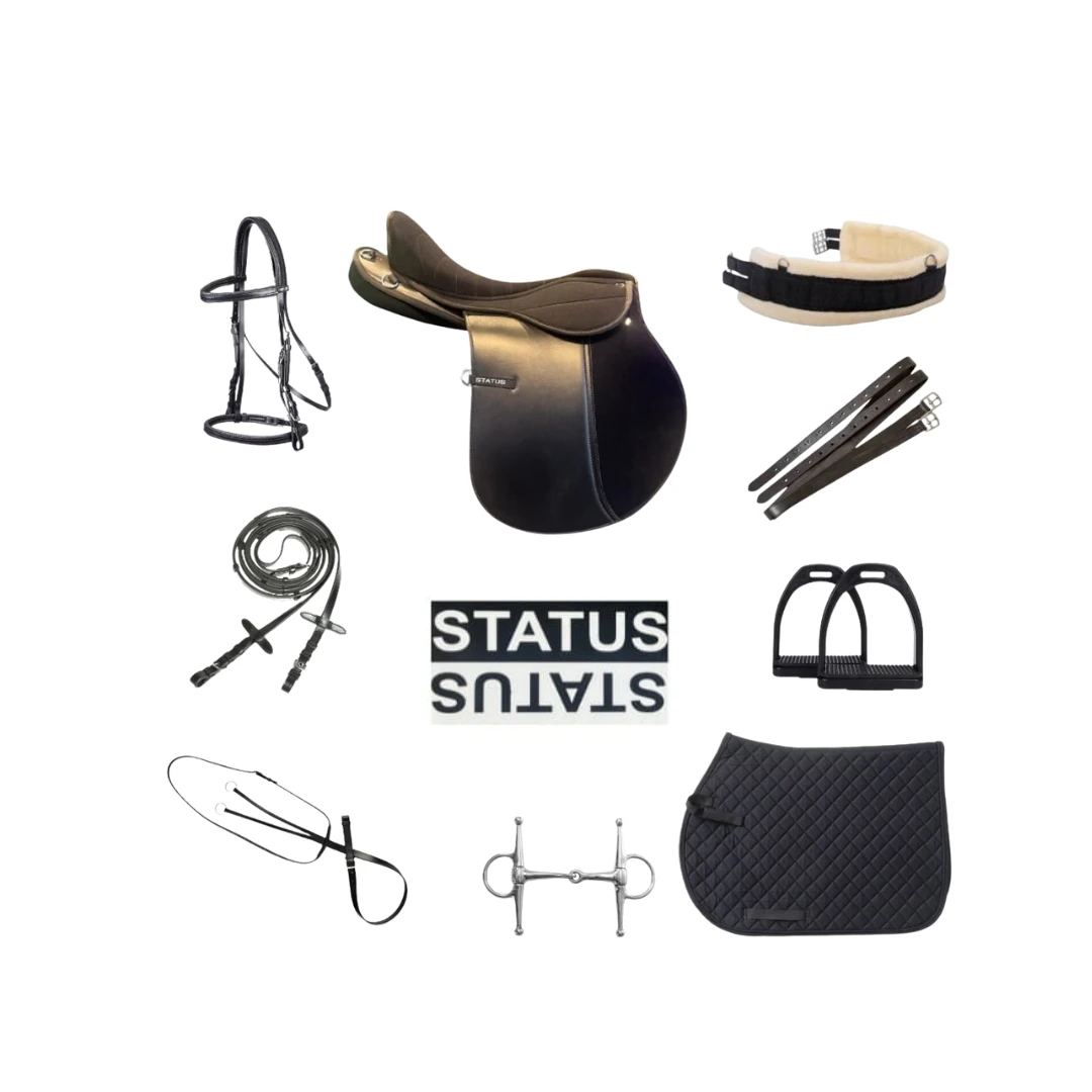 طقم ستاتوس الاصلي